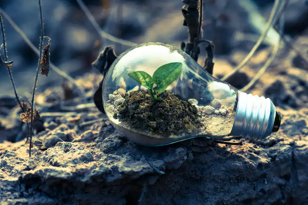 Abstract representation of ecological strategy and sustainable business growth
